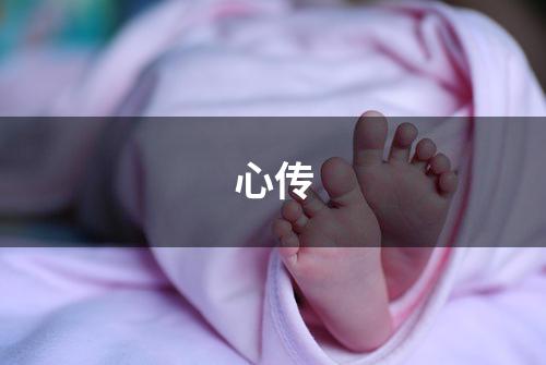 心传
