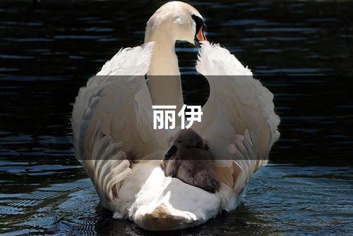 丽伊