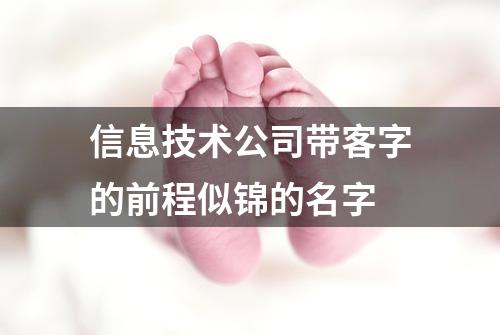信息技术公司带客字的前程似锦的名字