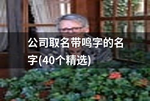 公司取名带鸣字的名字(40个精选)