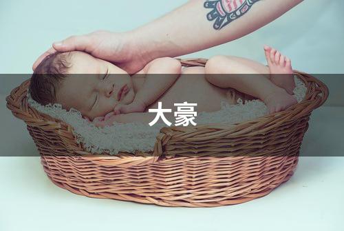 大豪
