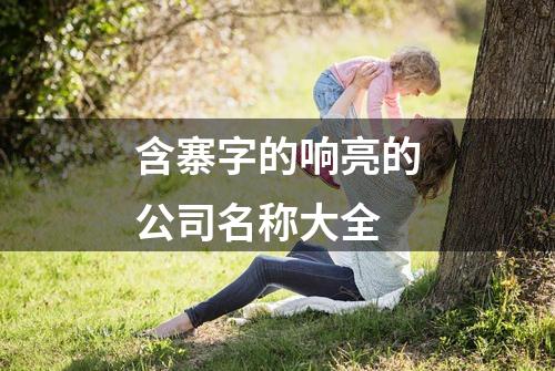 含寨字的响亮的公司名称大全