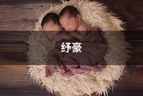 纾豪