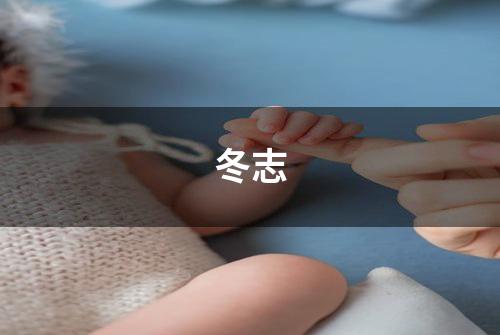 冬志
