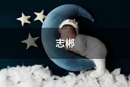 志郴