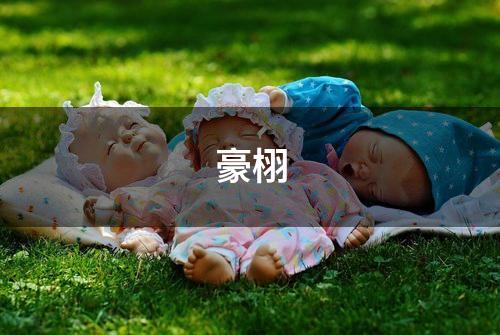 豪栩
