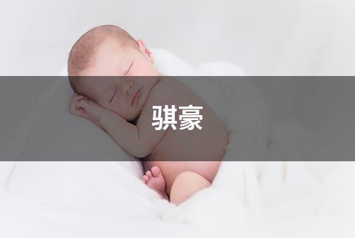 骐豪